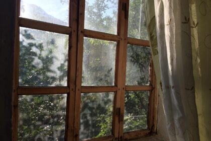 What to Consider Before Choosing New Windows for a Home