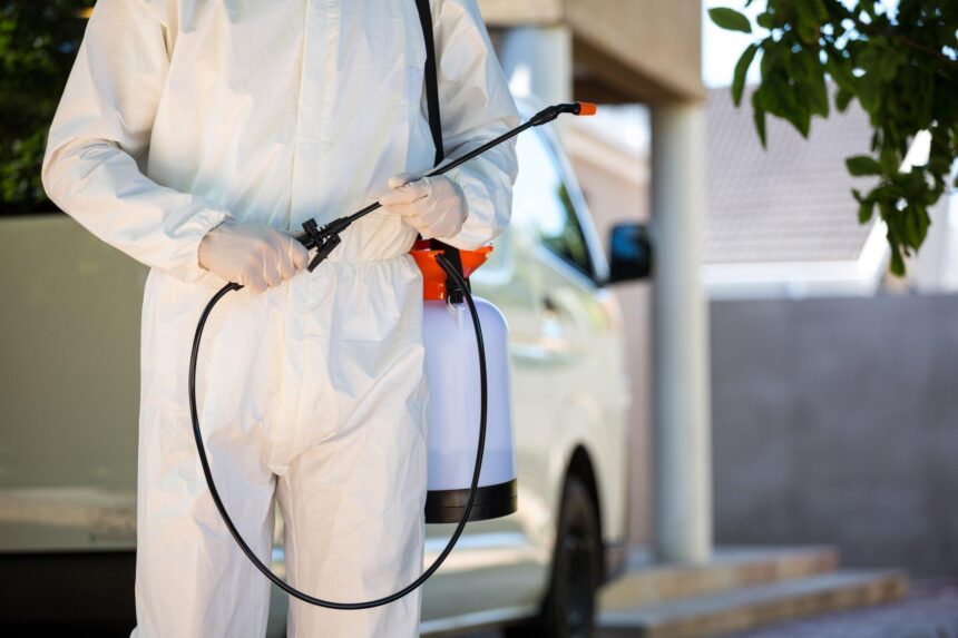 Say Goodbye to Unwanted Guests: Top Ways to Get Rid of Pests in Your Home