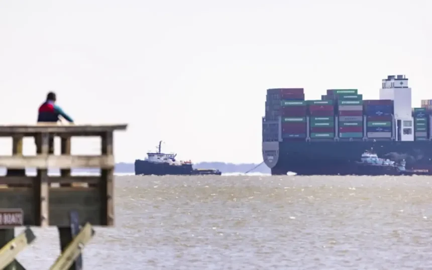 Four Dead, Three Missing As Vessel Capsizes in Suez Gulf