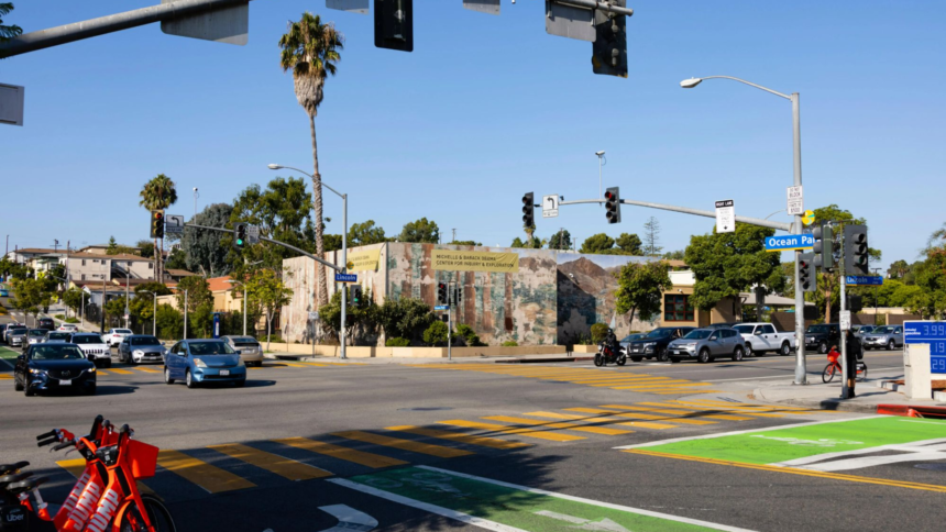 At Least 20 Injured after Vehicle Rammed into Crowd in LA