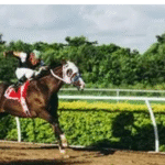 Top 7 Mistakes Horse Owners Make When Choosing a Fence