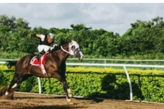 Top 7 Mistakes Horse Owners Make When Choosing a Fence