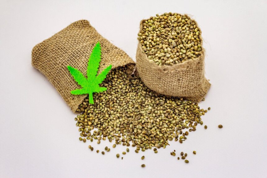 Top Financial Strategies for Emerging Cannabis Businesses