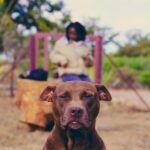 How to Learn Pet CPR: Best Courses and Training Options
