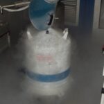 The Chemistry of Nitrogen Heterocycles Explained