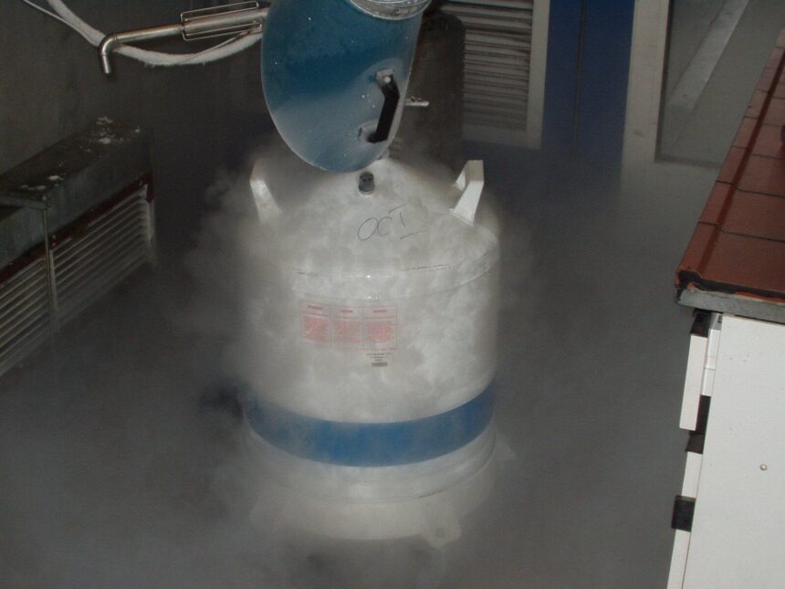 The Chemistry of Nitrogen Heterocycles Explained