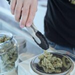 Online vs Local Dispensaries: Find the Best Cannabis for You