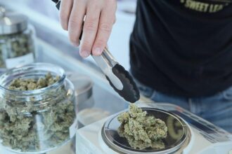 Online vs Local Dispensaries: Find the Best Cannabis for You