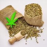 Reliable Seed Bank for High-Quality Cannabis Strains