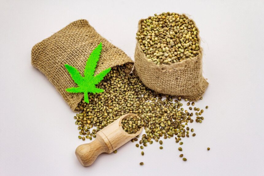Reliable Seed Bank for High-Quality Cannabis Strains