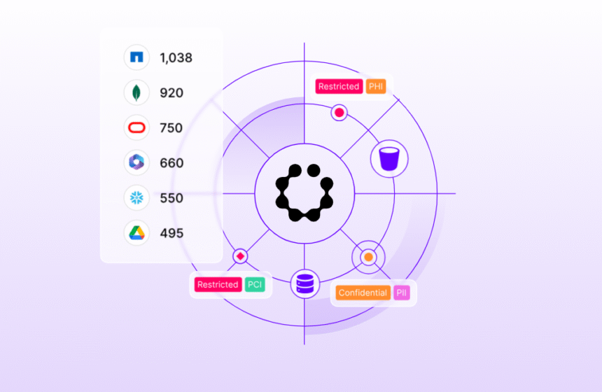 Everything Businesses Need to Know About DSPM