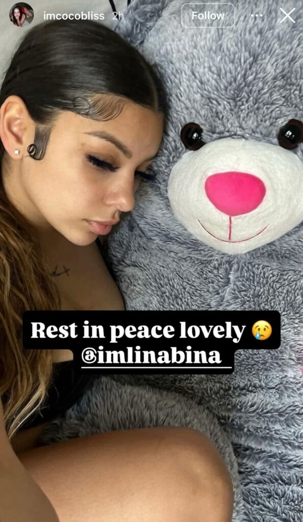 Who Is Lina Bina? Biography, Cause of Death, Net Worth, Boyfriend, Body Measurements, And More
