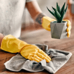How to Dust: A Complete Manual for End-of-Lease Cleaning