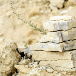 Material Memory: How Limestone Fireplaces Capture Architectural Stillness