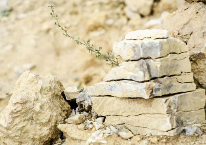 Material Memory: How Limestone Fireplaces Capture Architectural Stillness