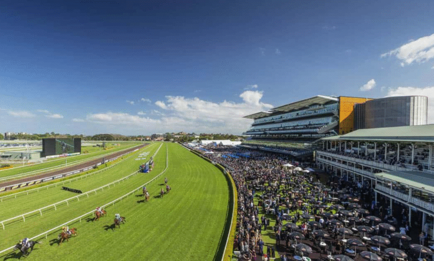 How to prepare for a day at Randwick race track 