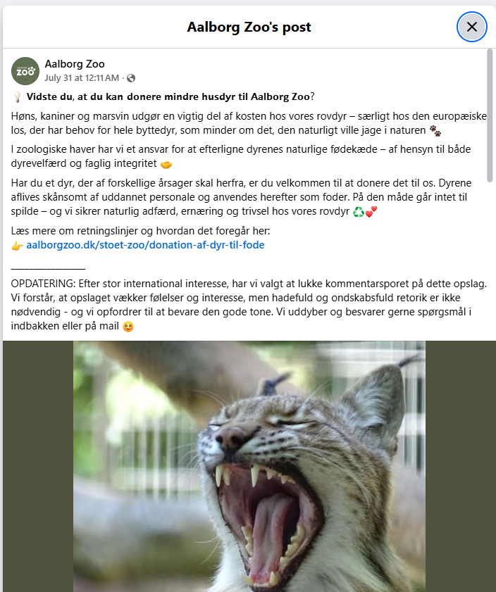 Denmark Zoo Asks People to Donate Their Unwanted Pets to Feed Predators
