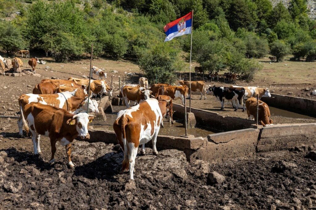 Drought Hits Serbia