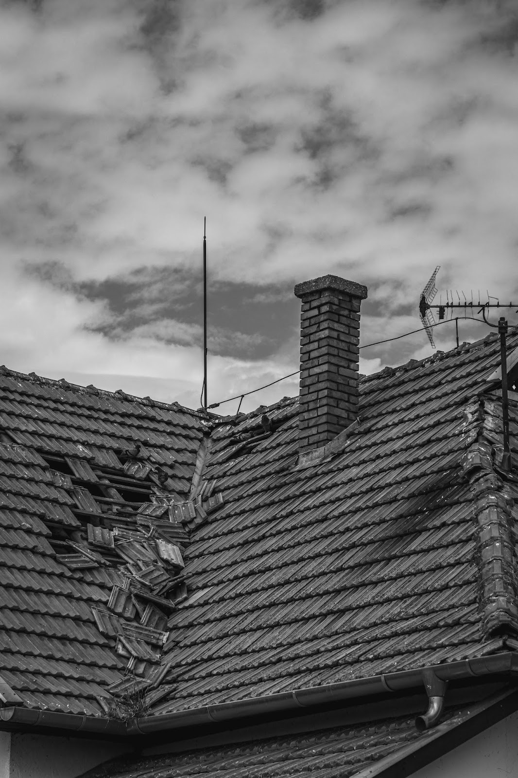 Roof Damage That Triggers Allergies and Breathing Problems
