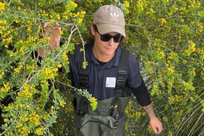 Taylor Thomson Develops Predictive Models to Help Councils Prevent Coastal Ecosystem Collapse