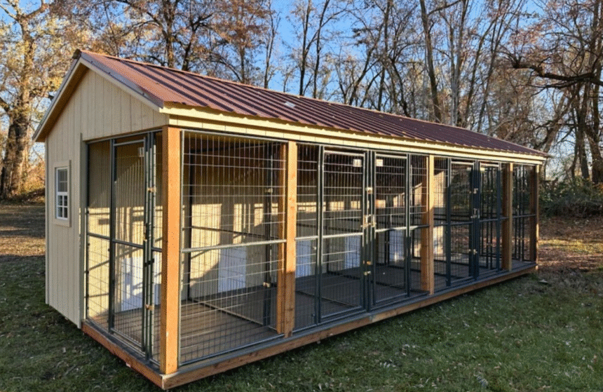 How to Choose the Best Dog Boarding Kennel Near You