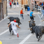 Eladelantado Providing Daily News Updates for Informed Decision Making